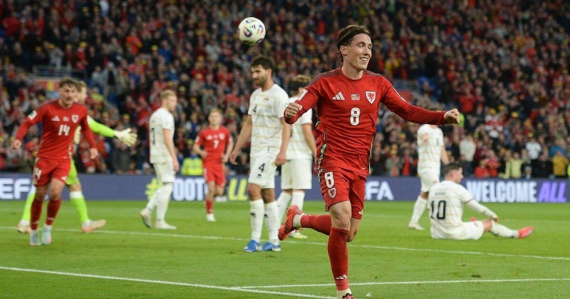 Крыса выбежала на поле во время матча Бельгии и Уэльса