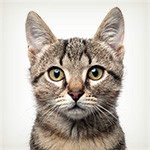 Светлана Журова: «Уверена, Коростелев разозлился и заточен на результат в марафоне. Очень хотелось бы, чтобы он завоевал медаль»