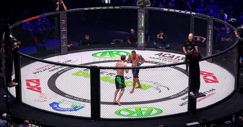 АСА 201: Силва против Подлесного, Грищенко победил Абреу и другие бои