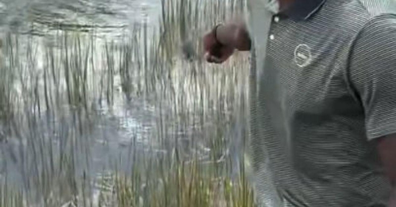 «Этот ниггер подкрадывается». Аллигатор помешал Леброну Джеймсу играть в гольф