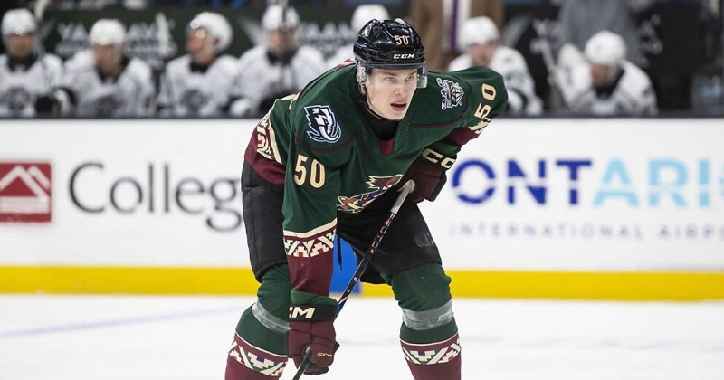 «Юта» вызвала Бута из АХЛ. У российского форварда 33 (16+17) очка в 34 матчах за «Тусон»